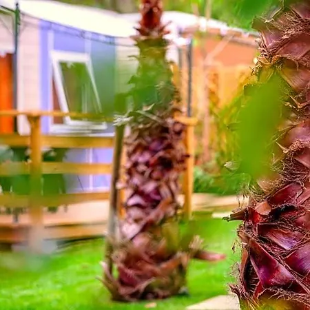 Delle Rose & Glamping Village 4*